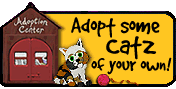 Adopt Catz